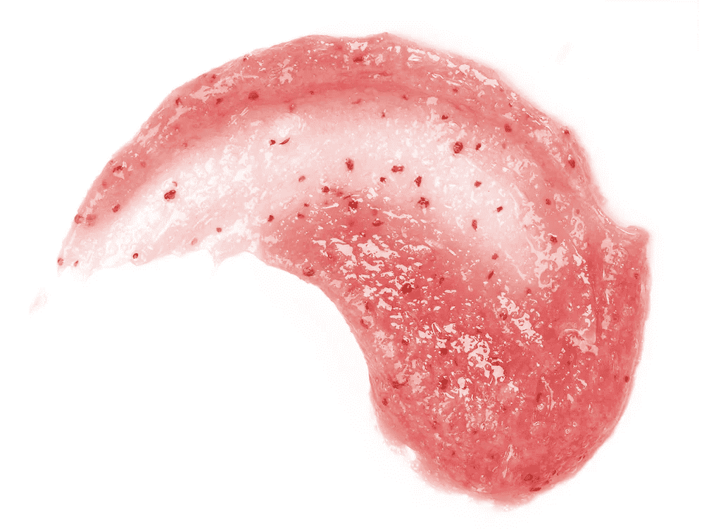 Cranberry Scrub (Exfoliant aux Canneberges)